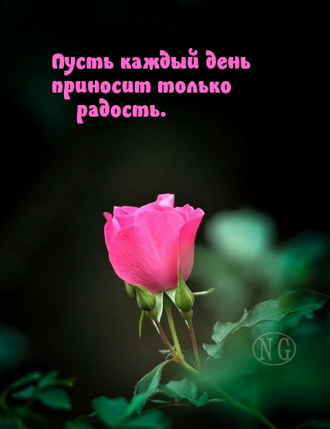 Пусть каждый день приносит только радость.