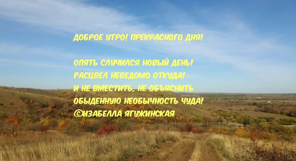 Доброе утро! Прекрасного дня!