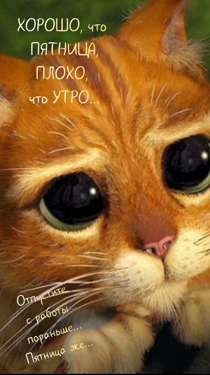 Хорошо, что пятница, плохо, что утро…