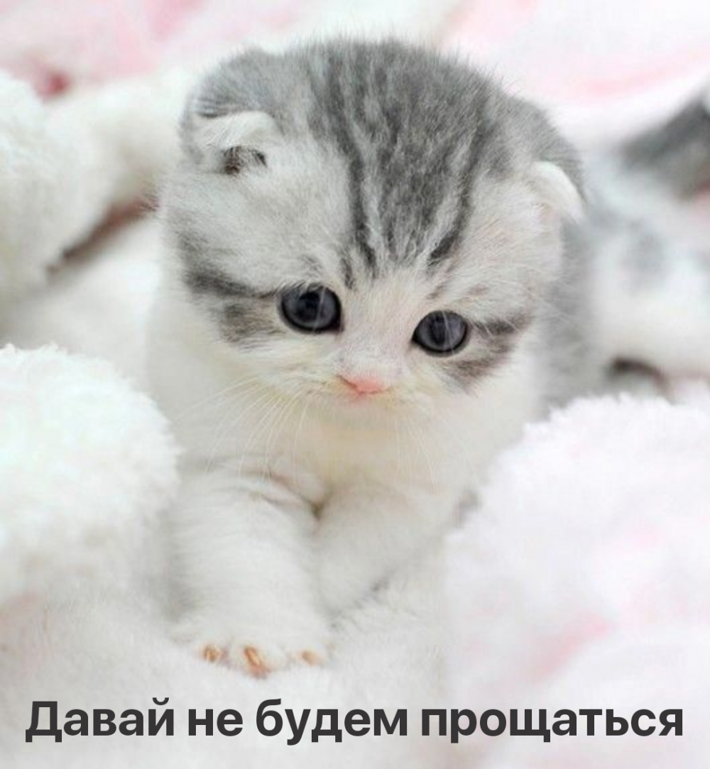 Давай не будем прощаться