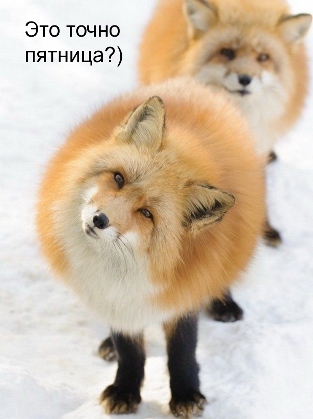 Это точно пятница?)