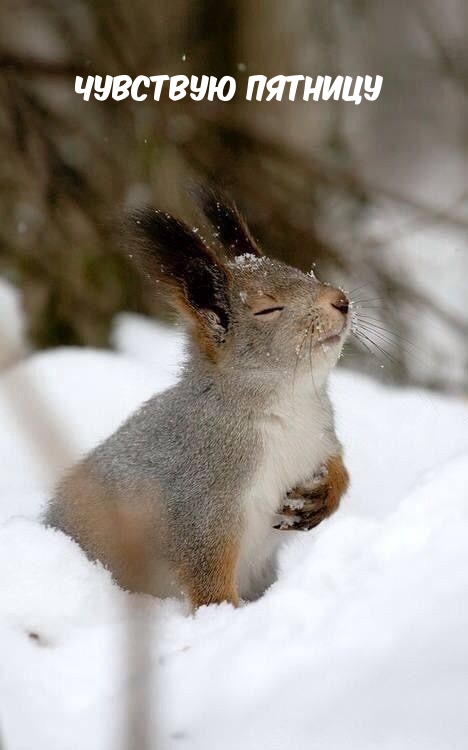 Чувствую пятницу
