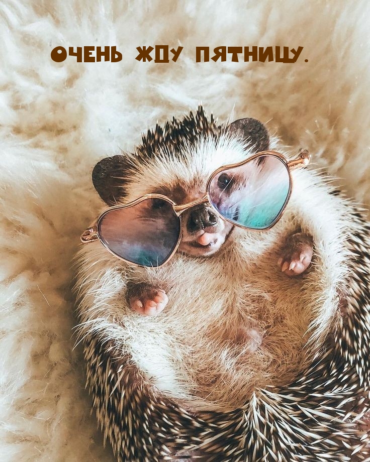 Очень жду пятницу.