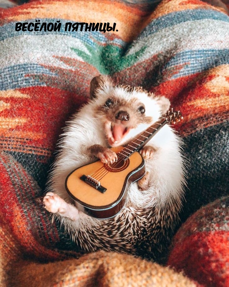 Весёлой пятницы.