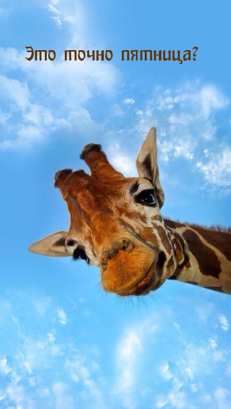 Это точно пятница?