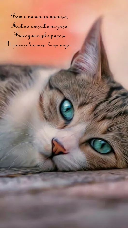 Вот и пятница пришла, можно отложить дела.