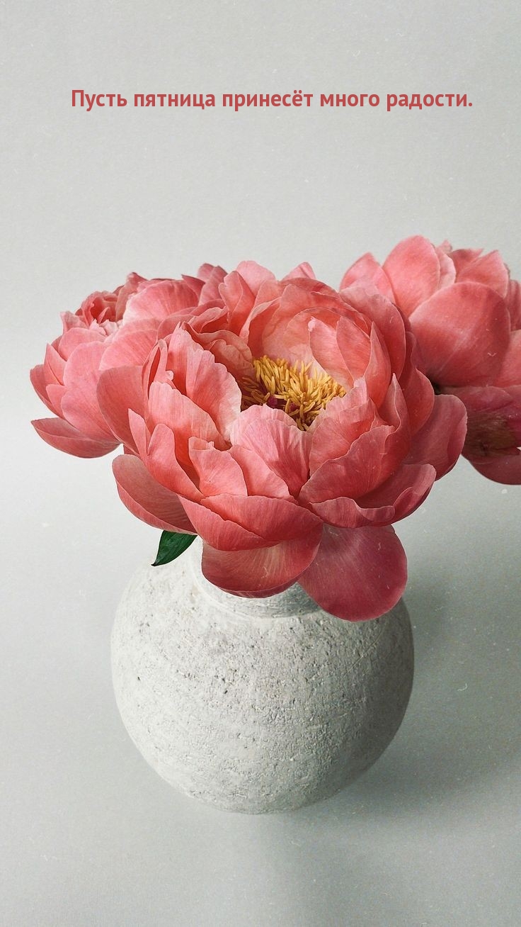 Пусть пятница принесёт много радости.