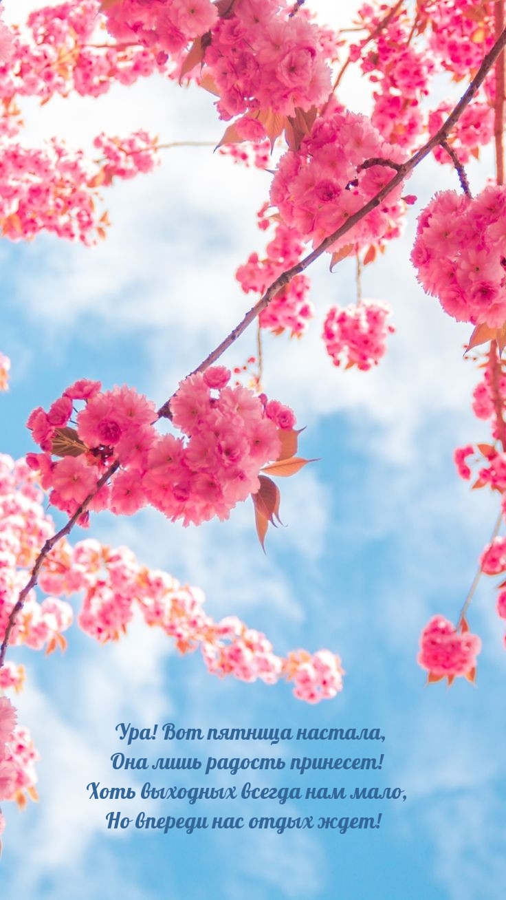 Ура! Вот пятница настала