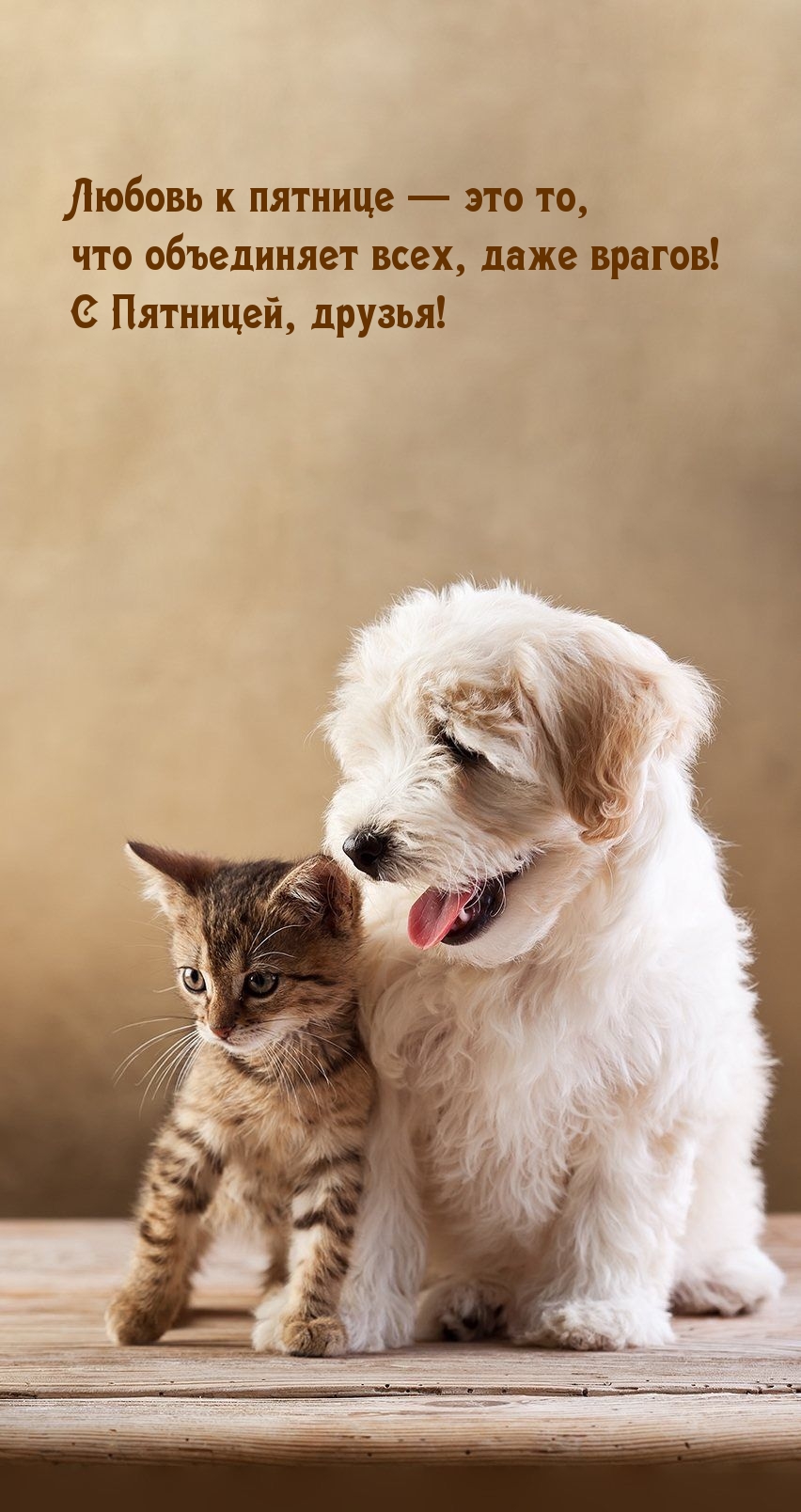 Любовь к пятнице — это то, что объединяет всех, даже врагов!