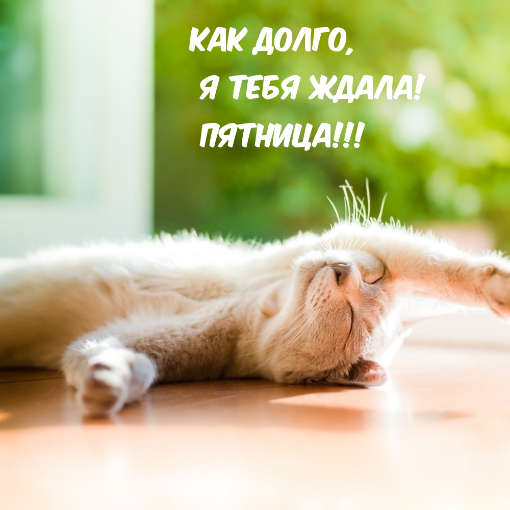 Как долго, я тебя ждала! ПЯТНИЦА!