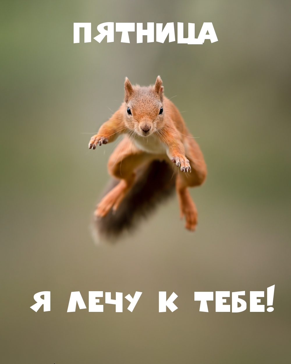 Пятница я лечу к тебе!