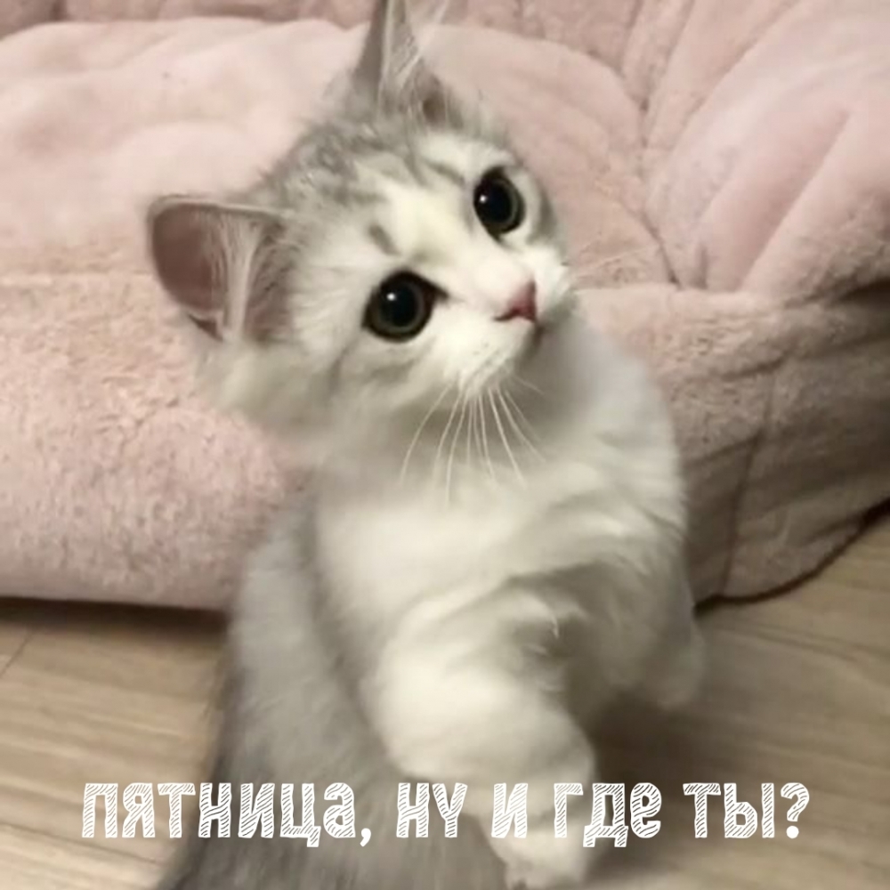Пятница, ну и где ты?