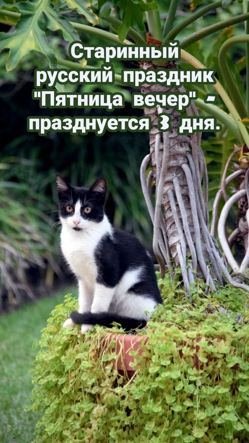 Старинный русский праздник «Пятница вечер» — празднуется 3 дня.