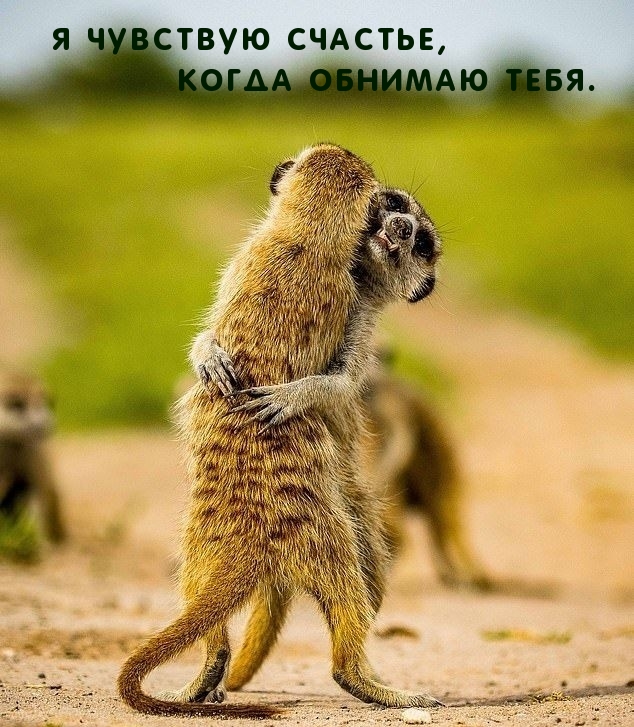 Я чувствую счастье, когда обнимаю тебя.