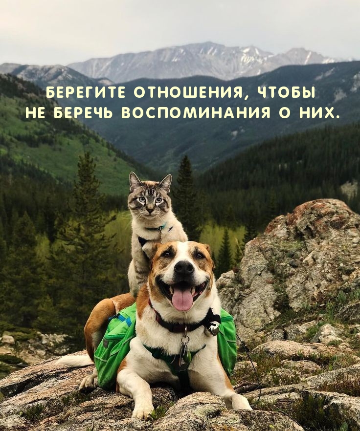 Берегите отношения, чтобы не беречь воспоминания о них.