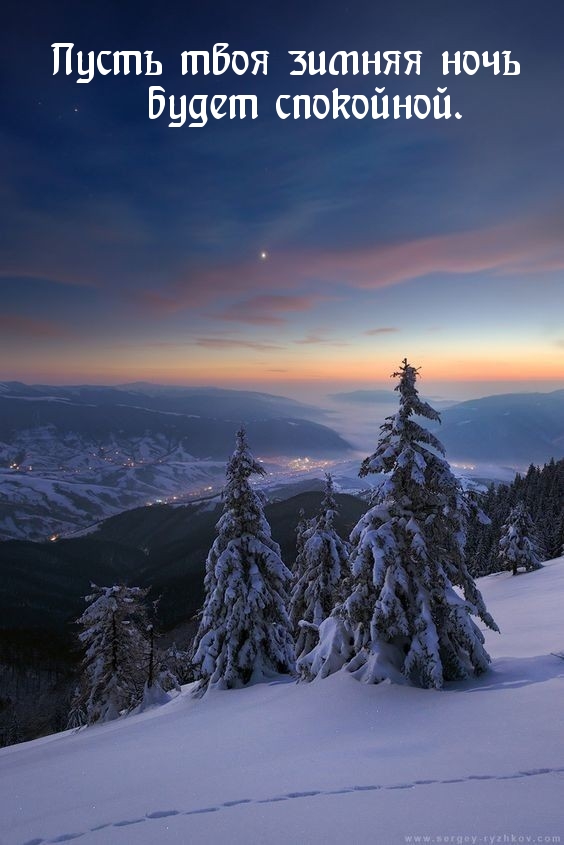 Пусть твоя зимняя ночь будет спокойной.