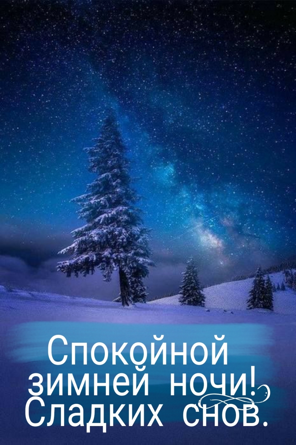Спокойной зимней ночи! Сладких снов.