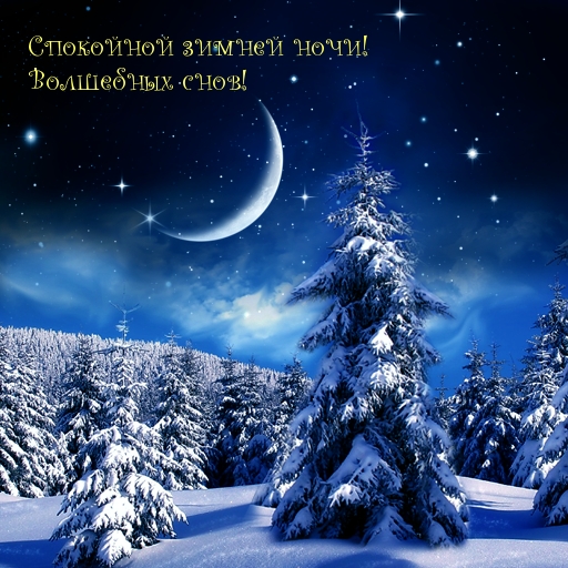 Спокойной зимней ночи! Волшебных снов!
