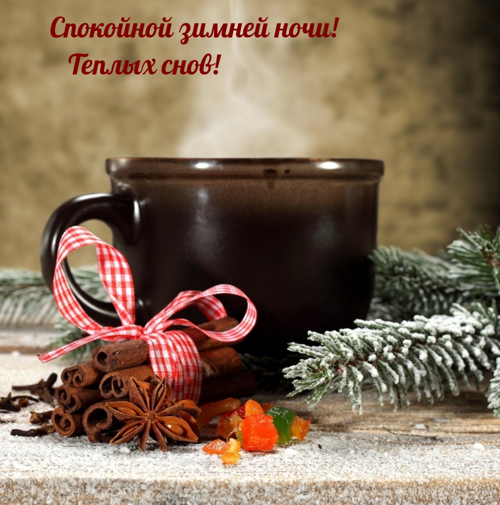 Спокойной зимней ночи! Теплых снов!