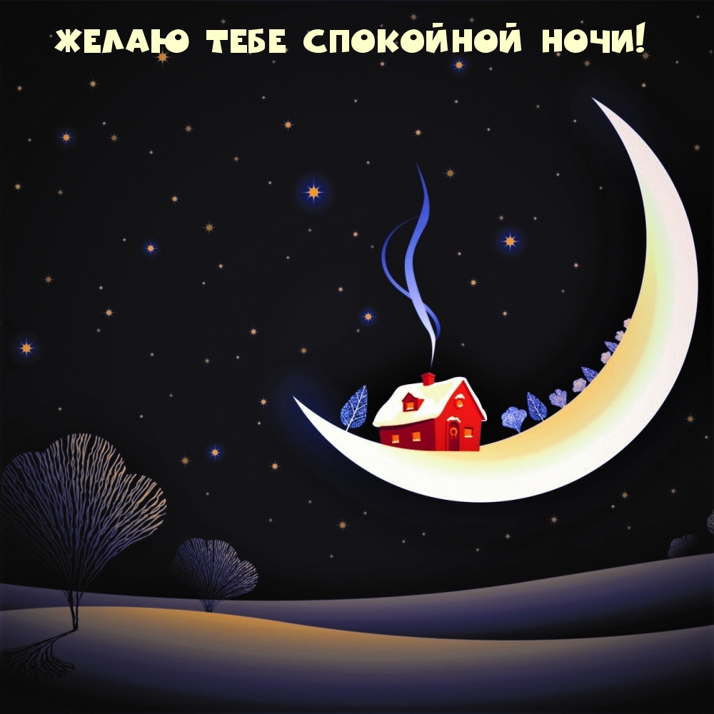 Желаю тебе спокойной ночи!