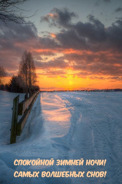 Спокойной зимней ночи! Самых волшебных снов!