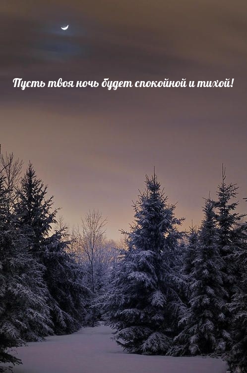 Пусть твоя ночь будет спокойной и тихой!