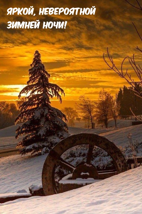 Яркой, невероятной зимней ночи!