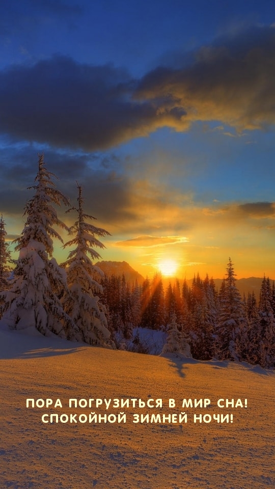 Пора погрузиться в мир сна! Спокойной зимней ночи!
