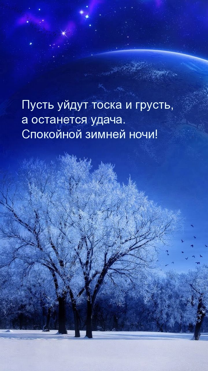 Спокойной зимней ночи!