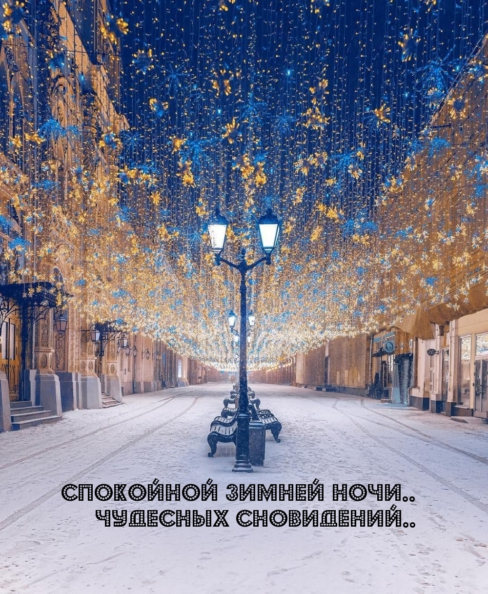 Спокойной зимней ночи.. Чудесных сновидений..
