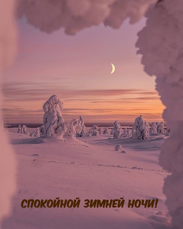 Спокойной зимней ночи!