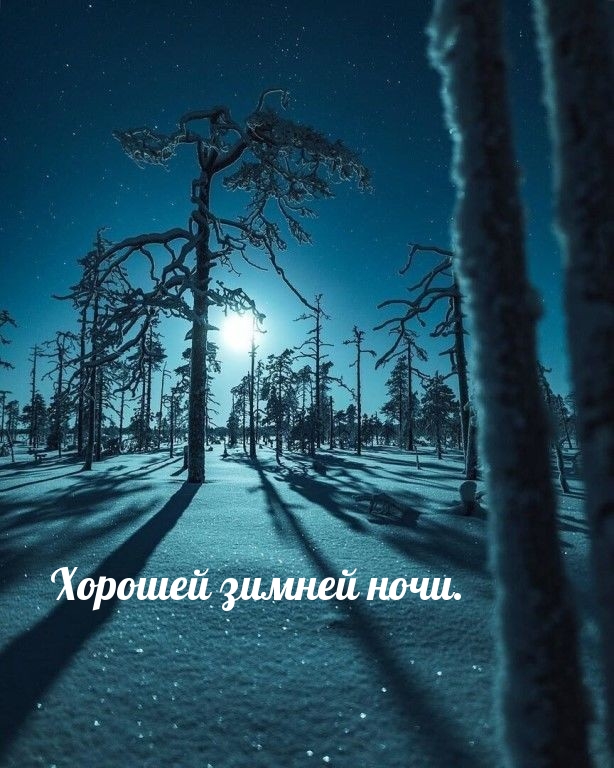 Хорошей зимней ночи.