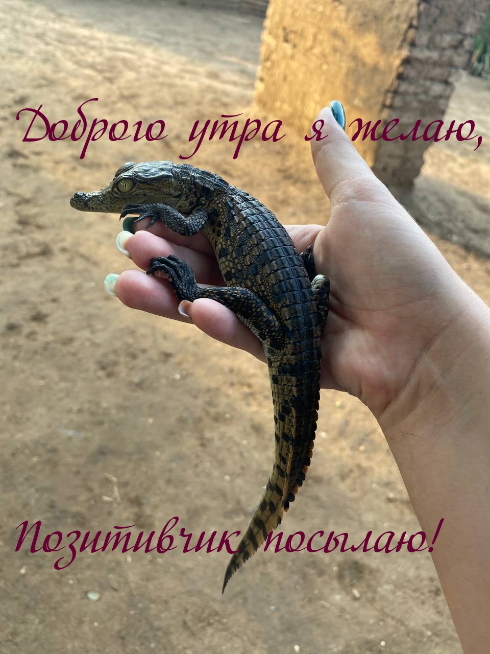 Доброго утра я желаю, Позитивчик посылаю!