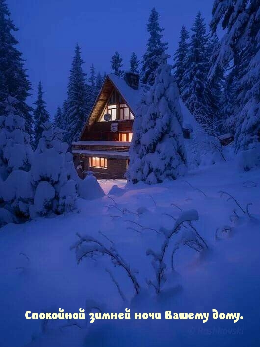 Спокойной зимней ночи Вашему дому.