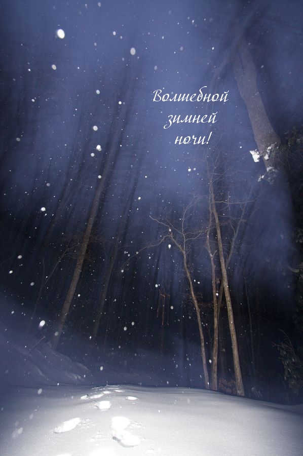 Волшебной зимней ночи!