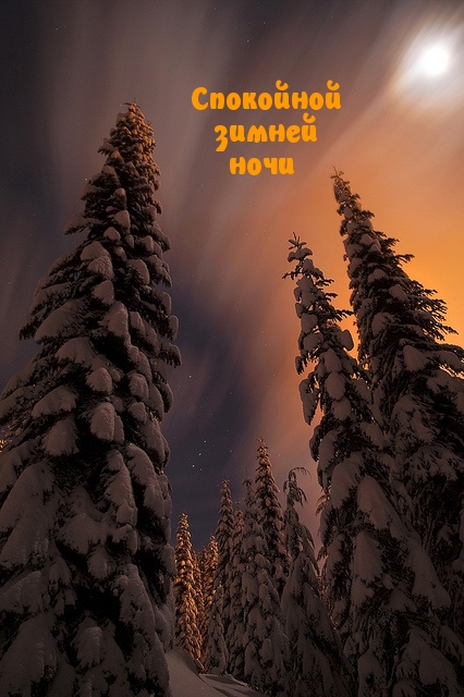 Спокойной зимней ночи
