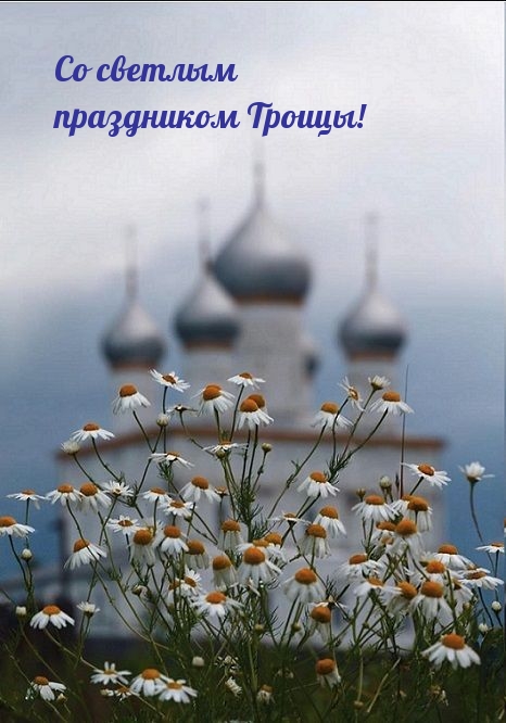 Со светлым праздником Троицы!