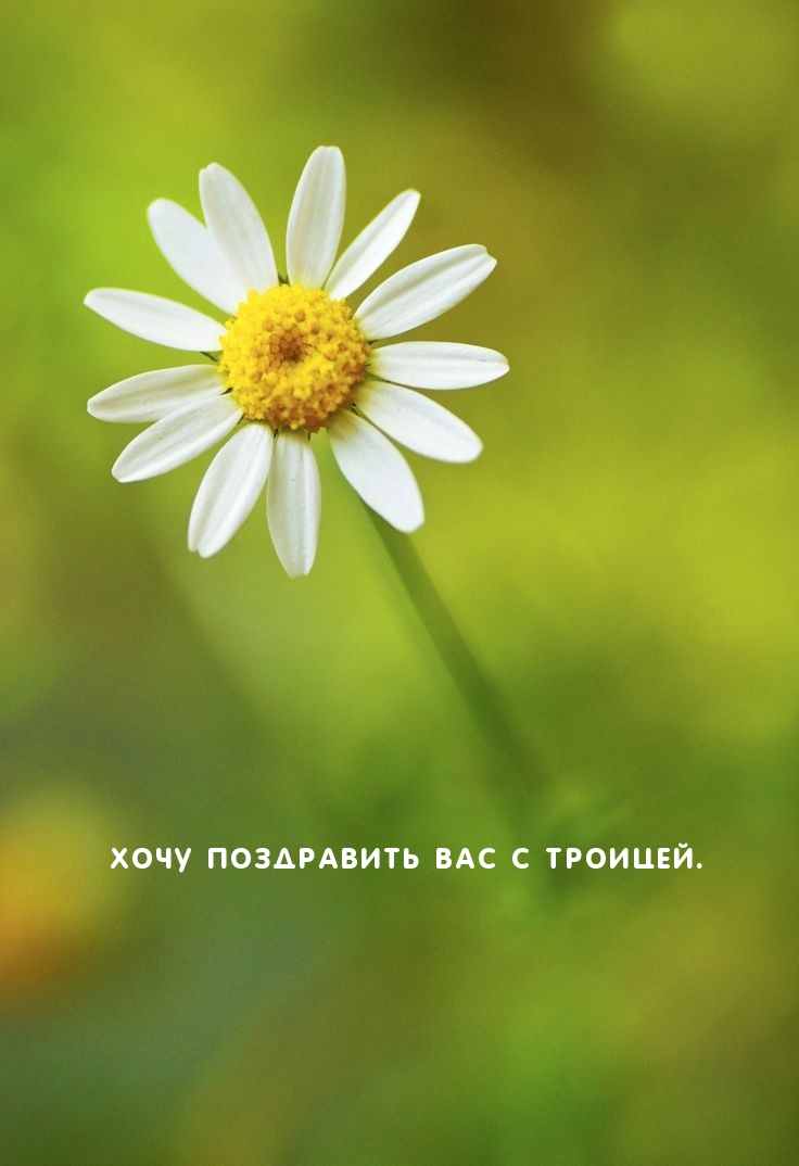Хочу поздравить Вас с Троицей.