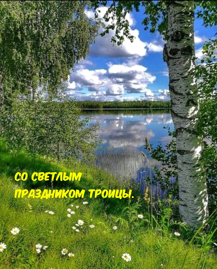 Картинки с надписями.  Со светлым праздником Троицы..