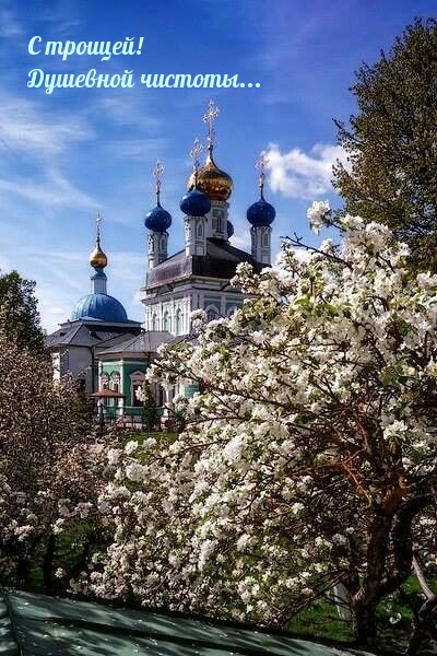 С троицей! Душевной чистоты…