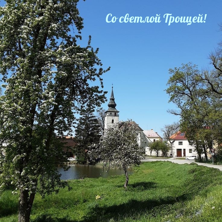 Со светлой Троицей!