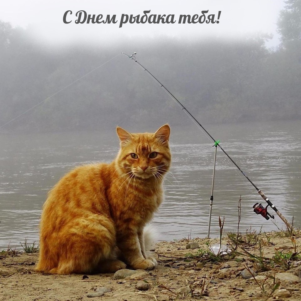 С Днем рыбака тебя!