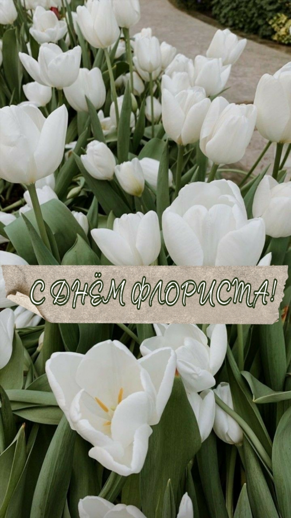 С ДНЁМ ФЛОРИСТА!