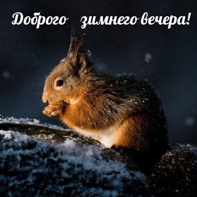 Доброго зимнего вечера!