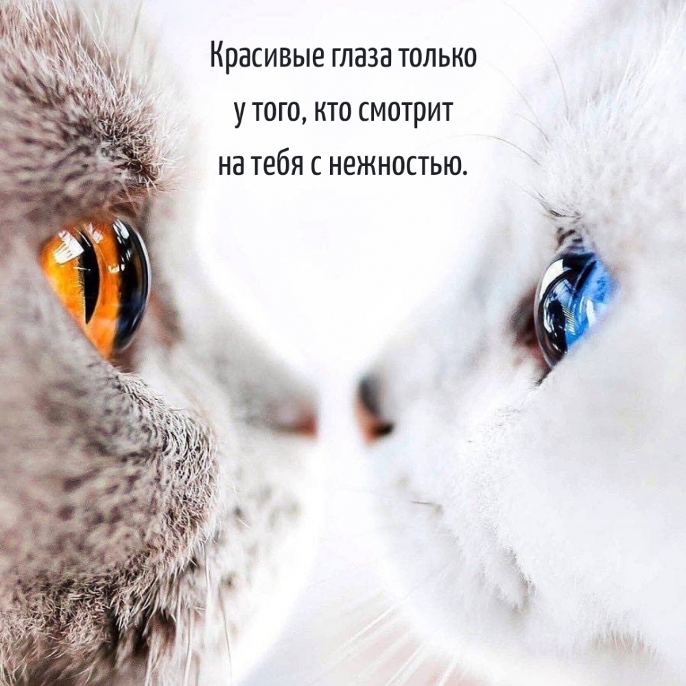 Красивые глаза только у того, кто смотрит на тебя с нежностью.