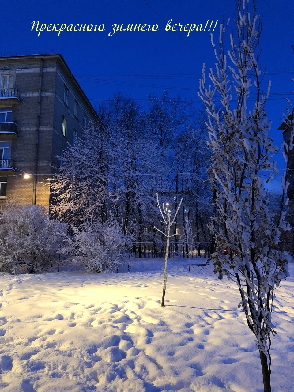 Прекрасного зимнего вечера!