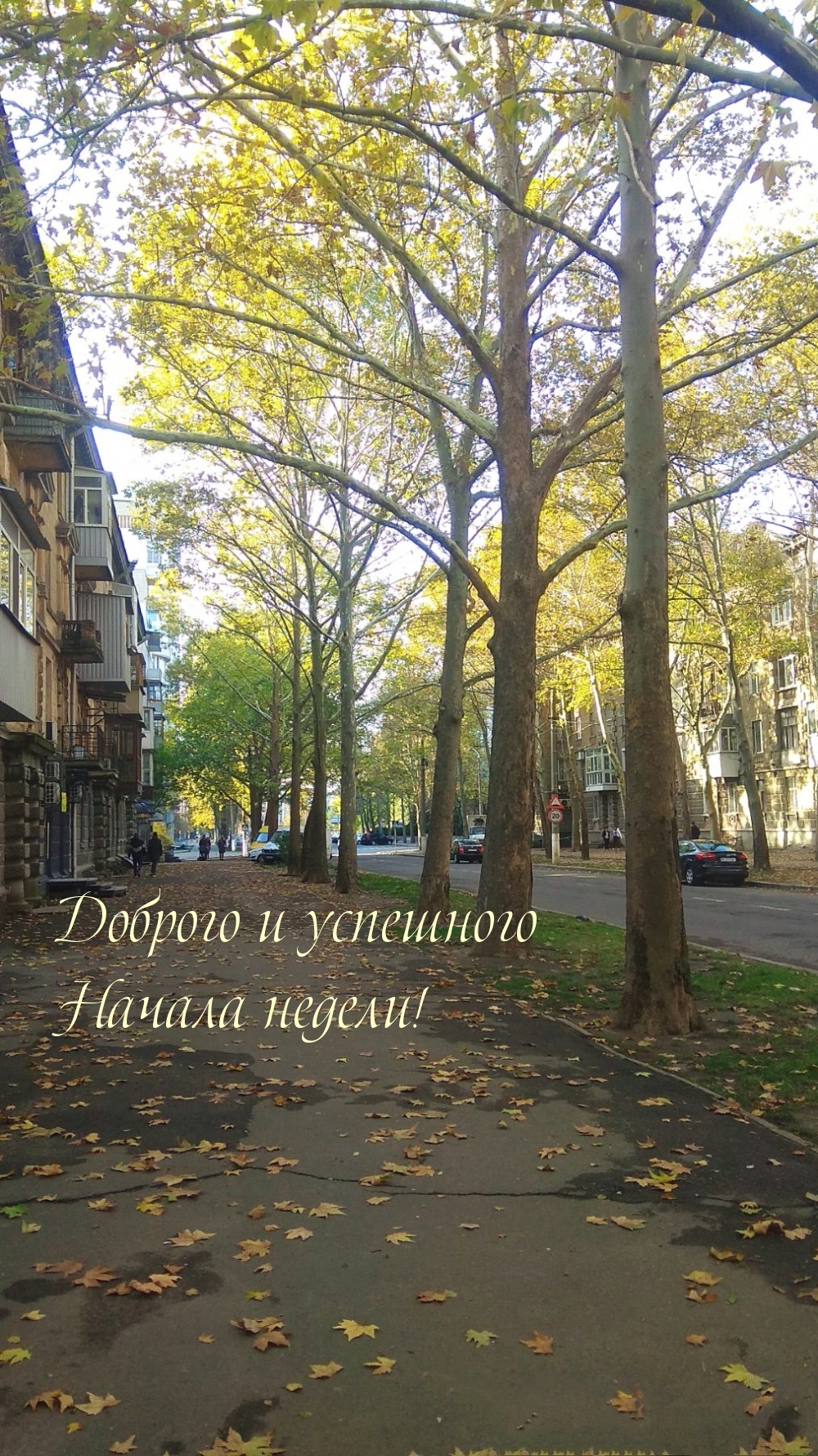 Доброго и успешного Начала недели!