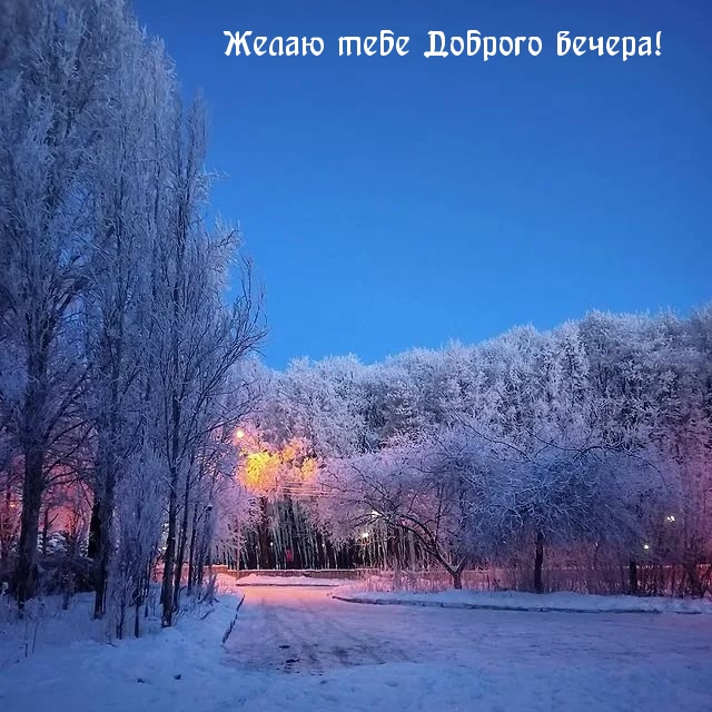Желаю тебе Доброго вечера!