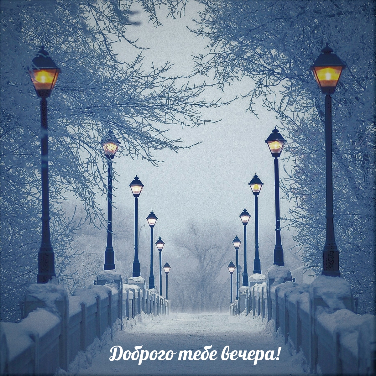 Доброго тебе вечера!