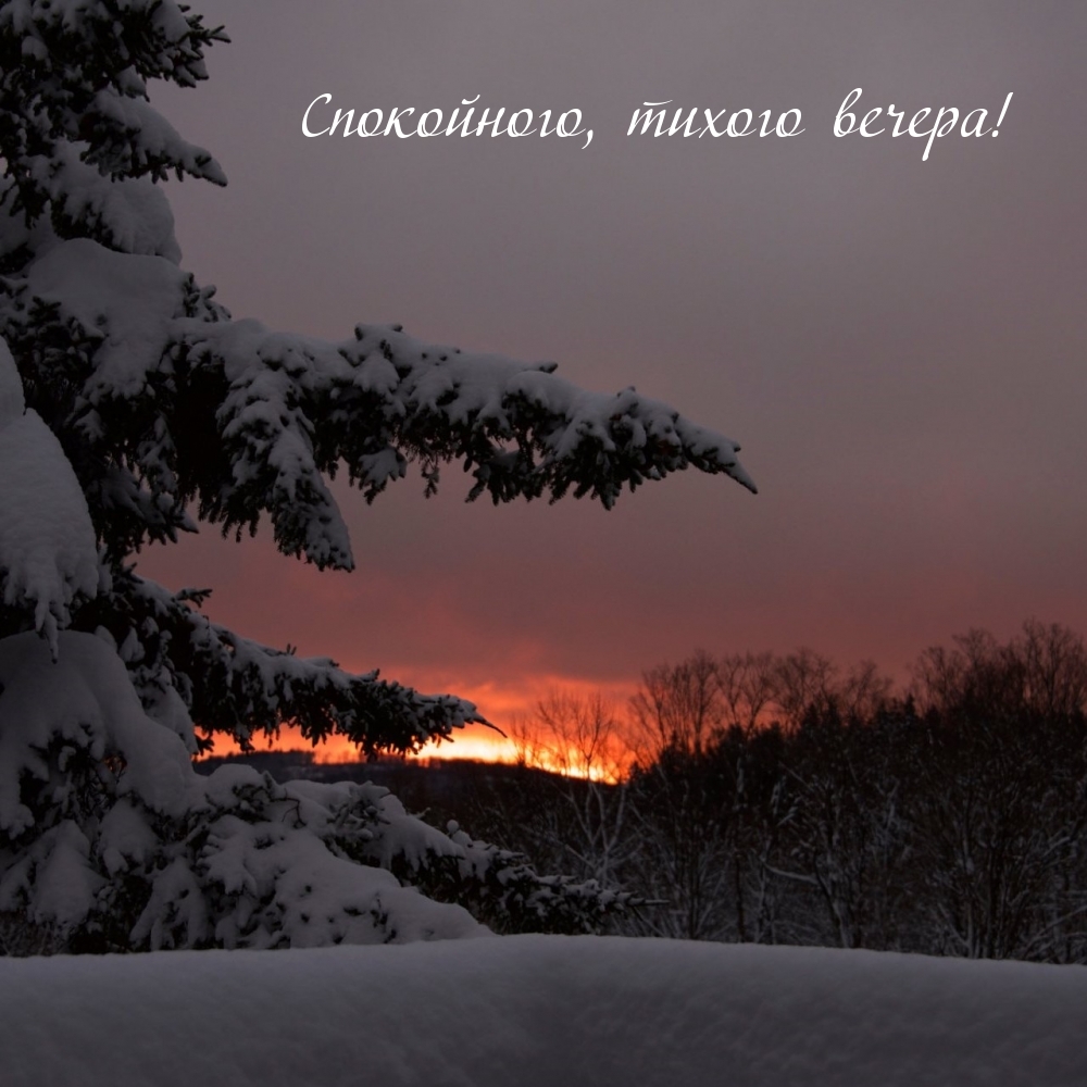 Спокойного, тихого вечера!
